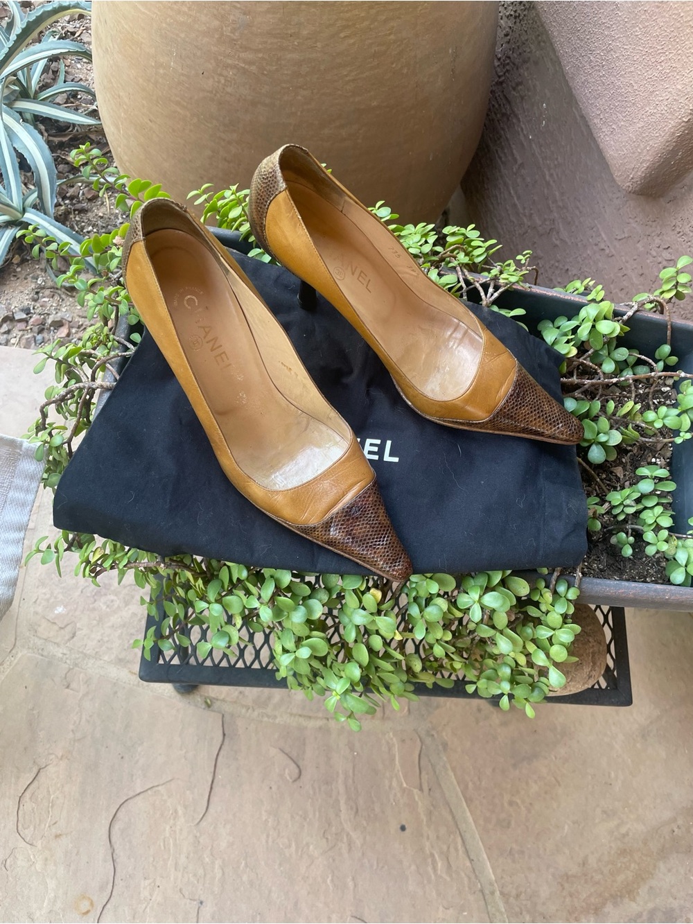 Chanel Brown/Beige leather/python Pointed-Toe Pumps